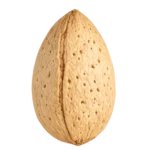Almond