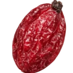 Barberry