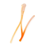 Type 3 Saffron